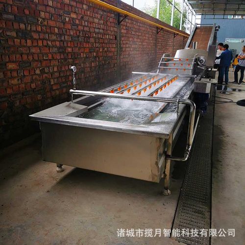 昊东2019全新研发自动化核桃清洗机 青核桃清洗去皮机 可支持定制